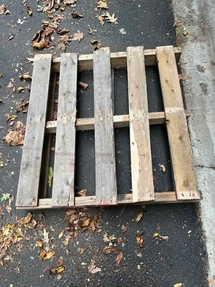 Photo of free Wooden pallet (01803) (Burlington) #1