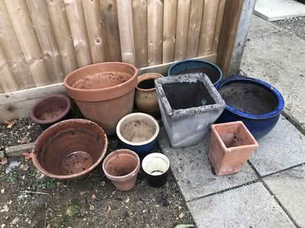Photo of free Assorted large plant pots (Lyneham OX7) #1