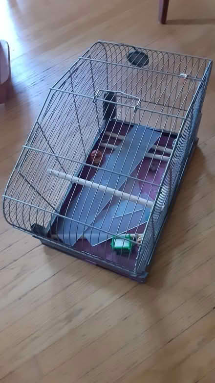 Photo of free Birdcage (Southdown and Truscott) #1