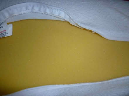 Photo of free Pillow (welling DA16) #3