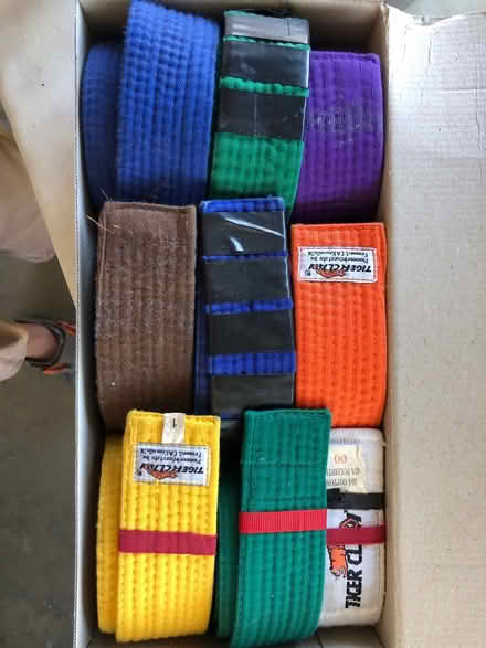 Photo of free Martial arts belts (Sacramento - Edison Ave/Fulton) #1