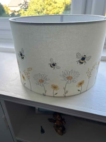 Photo of free Neutral Colour Ceiling Lightshade (Colinton Mains EH13) #1