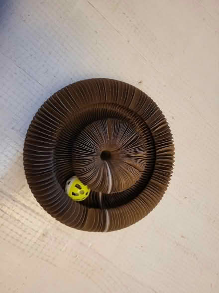 Photo of free Cat toy (West Croydon CR0) #3