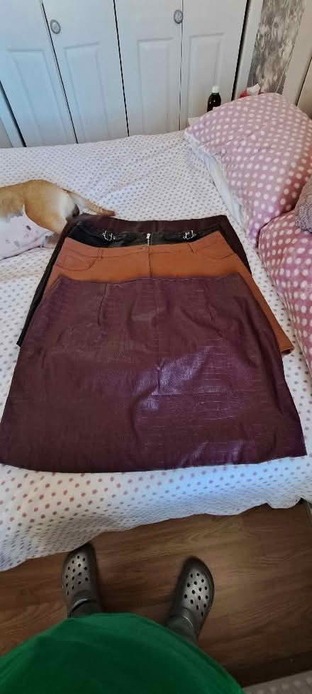 Photo of free Minis skirts size 22 (Fallin FK7) #1