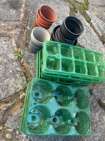 Photo of free Seed/plant trays and pots (East Didsbury/Burnage M19) #1