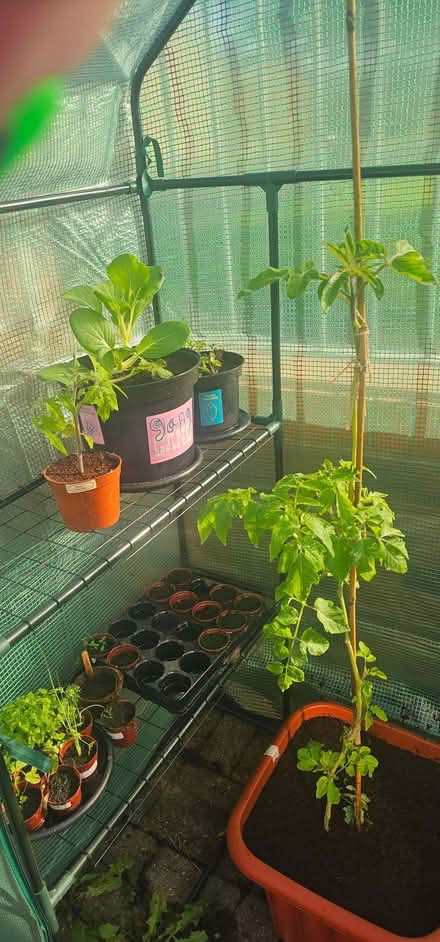 Photo of Plant pots (North Seaton NE63) #1