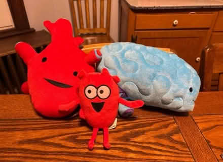 Photo of free Heart and brain stuffies (Little Village) #1
