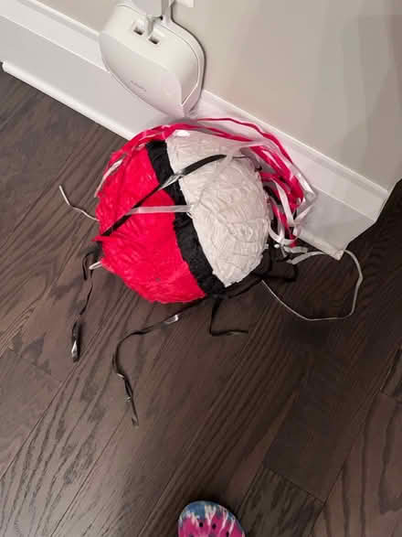 Photo of free Pokémon pinata (Bethesda) #1