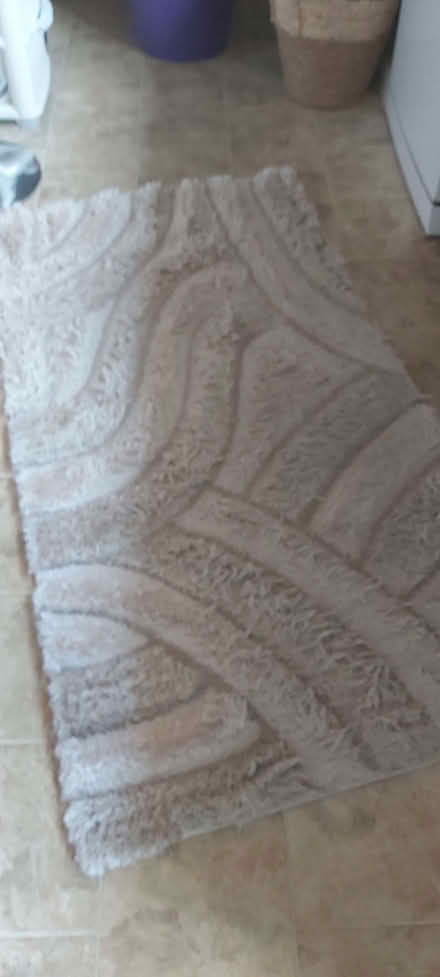 Photo of free Rug (Cam GL11) #1