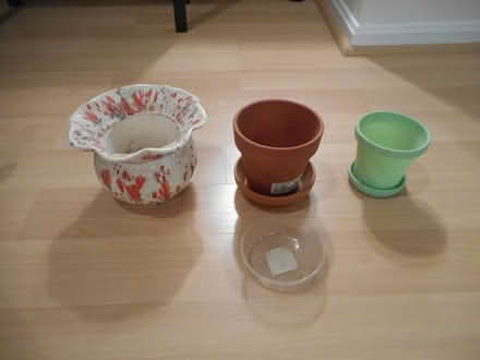 Photo of free pots for plants #1