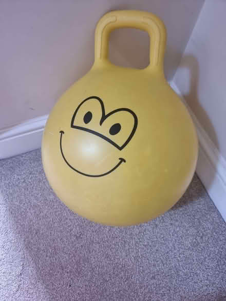 Photo of free Child's spacehopper (Cliffe BN7) #1