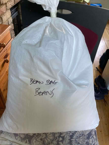 Photo of free Bean bag beans (CT5) #1