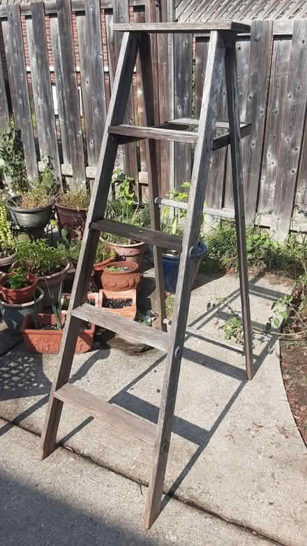 Photo of free Step ladder (Southdown and Truscott) #1