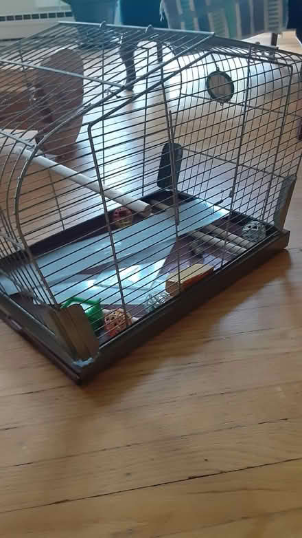 Photo of free Birdcage (Southdown and Truscott) #2