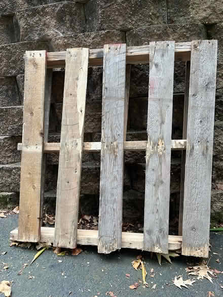 Photo of free Wooden pallet (01803) (Burlington) #2