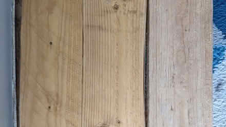 Photo of free Pine planks of wood (Priestthorpe BD16) #2