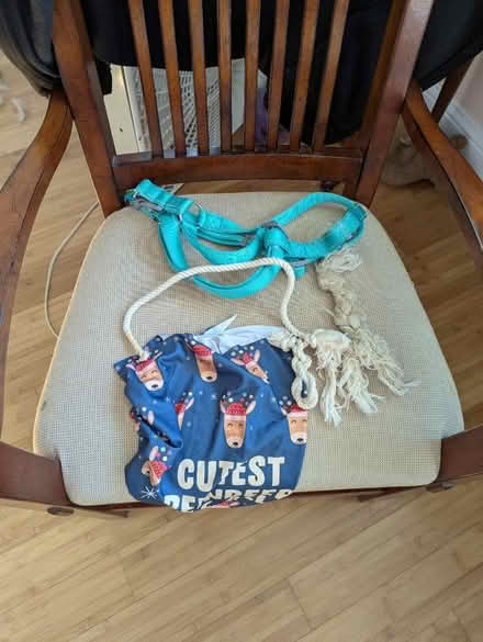 Photo of free Dog stuff West Seattle (Gatewood) #1