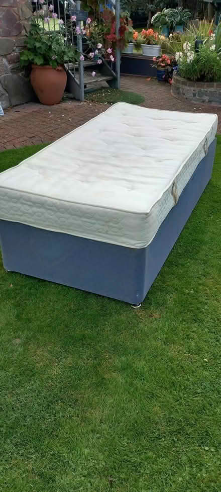 Photo of free single bed (Builth Wells) #4