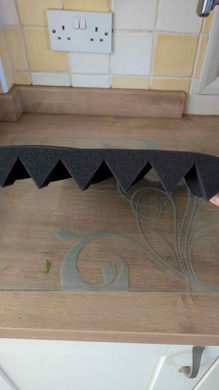 Photo of free Acoustic foam (Werrington) #4
