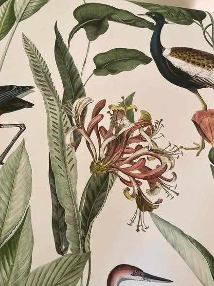 Photo of free Wallpaper (Dean EH4) #2