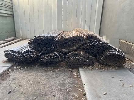 Photo of free Bamboo (Burbank hillside) #2