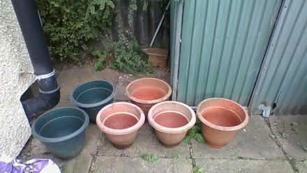 Photo of free 6 plant pots (Holbrooks CV6) #1