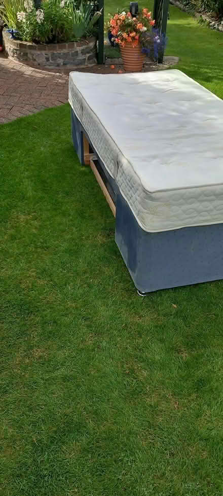 Photo of free single bed (Builth Wells) #2