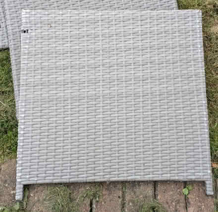 Photo of free Rattan panels (Werrington) #3