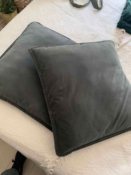 Photo of free Cushions (Wandsworth SW18) #2