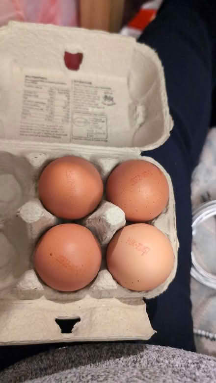 Photo of free Eggs (Braithwaite BD22) #1