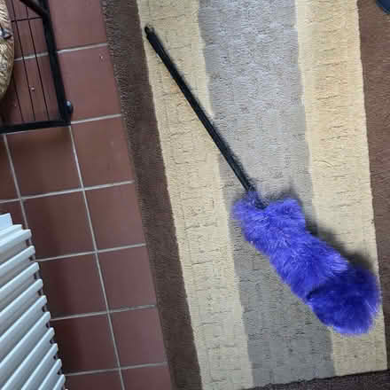 Photo of free Radiator and ceiling duster (Clive Vale TN35) #1