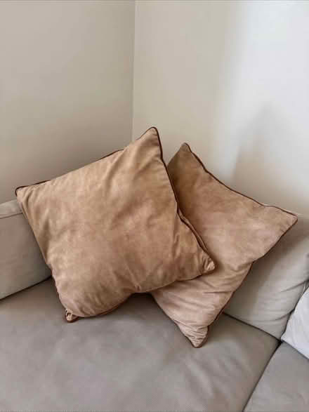 Photo of free Cushions (Wandsworth SW18) #3