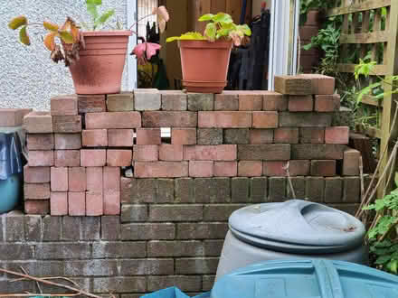 Photo of free 64 house bricks (Penrith CA11) #2