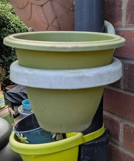 Photo of free Drainpipe hugger planters (Werrington) #3