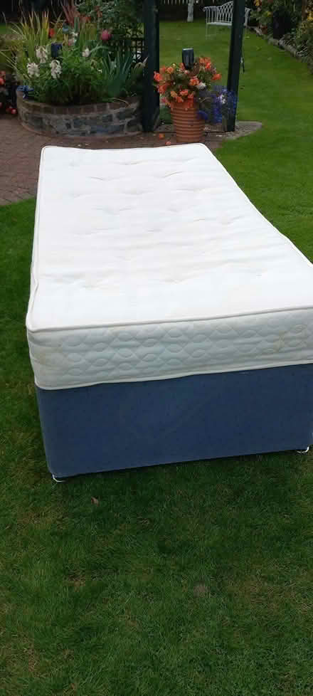 Photo of free single bed (Builth Wells) #1