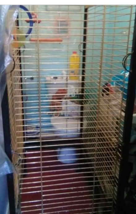 Photo of free Large Parrot cage on fixed stand (West Kirby CH48) #1