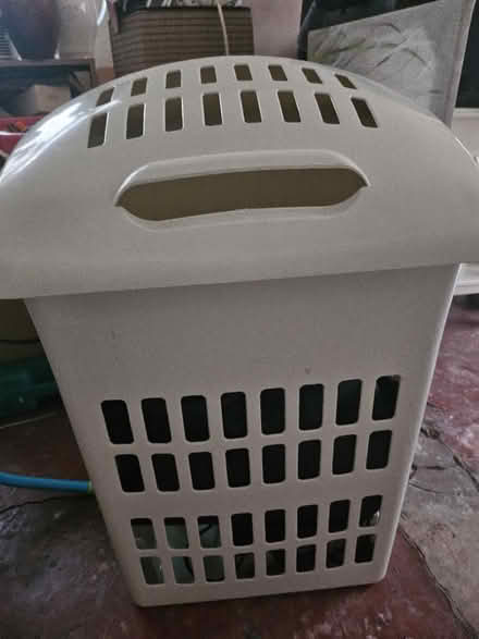 Photo of free Washing basket (Ashton in Makerfield WN4) #1