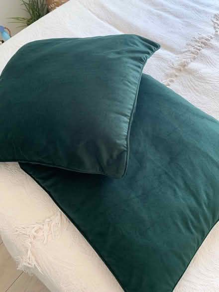 Photo of free Cushions (Wandsworth SW18) #1