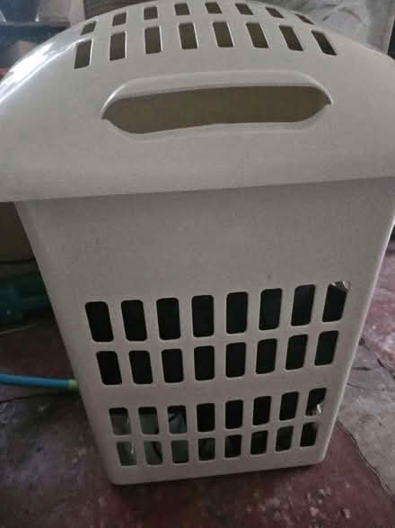 Photo of free Washing basket (Ashton in Makerfield WN4) #2