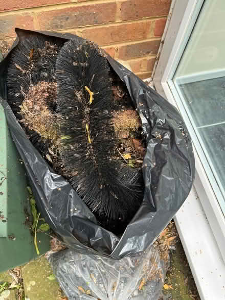Photo of free ‘Hedgehog’ Gutter Guard (CT21) #1