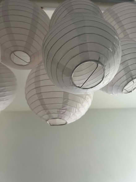 Photo of free Paper lanterns (Newney green CM1) #2