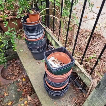 Photo of free Plant Pots (Manningham BD8) #1