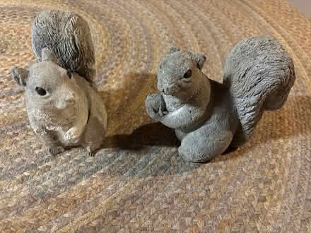 Photo of free Cement squirrels (South Park) #1