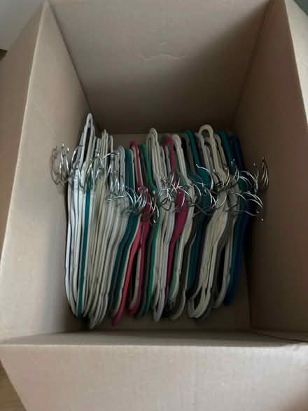 Photo of free Velvet hangers (2000 Shannon Street area) #1