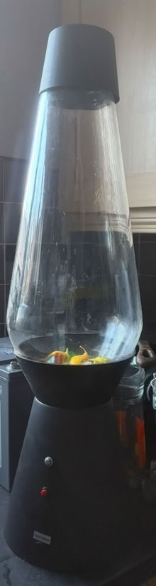 Photo of free Floating fish lamp (Rubery B45) #1