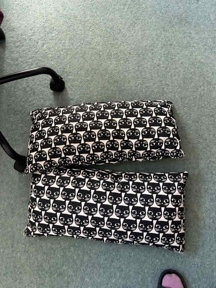 Photo of free Cushions (Ivy Hatch TN15) #1