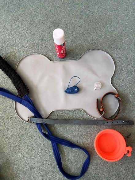Photo of free Dog stuff (Ivy Hatch TN15) #1