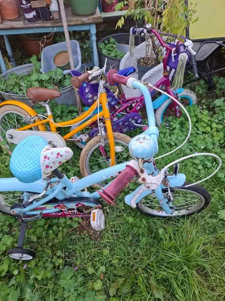 Photo of free 4 kids bikes (Tuckswood NR4) #1