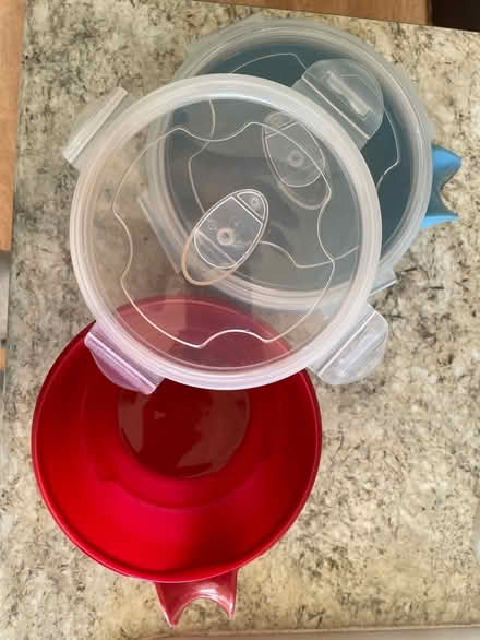 Photo of free 2 microwave bowls (Welling DA16) #2