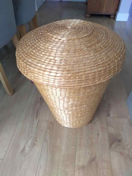 Photo of free Laundry basket (Thanington, Canterbury CT1) #1